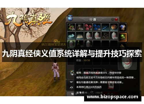 九阴真经侠义值系统详解与提升技巧探索