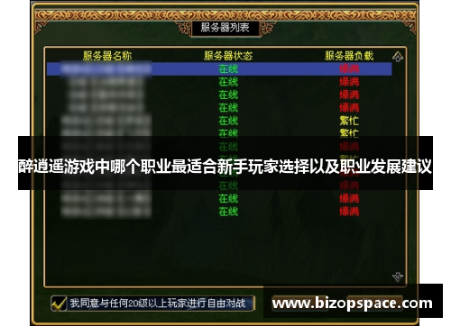 醉逍遥游戏中哪个职业最适合新手玩家选择以及职业发展建议