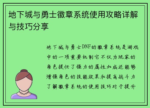 地下城与勇士徽章系统使用攻略详解与技巧分享